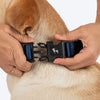 HUFT Classic Collar For Dog - Navy - Heads Up For Tails