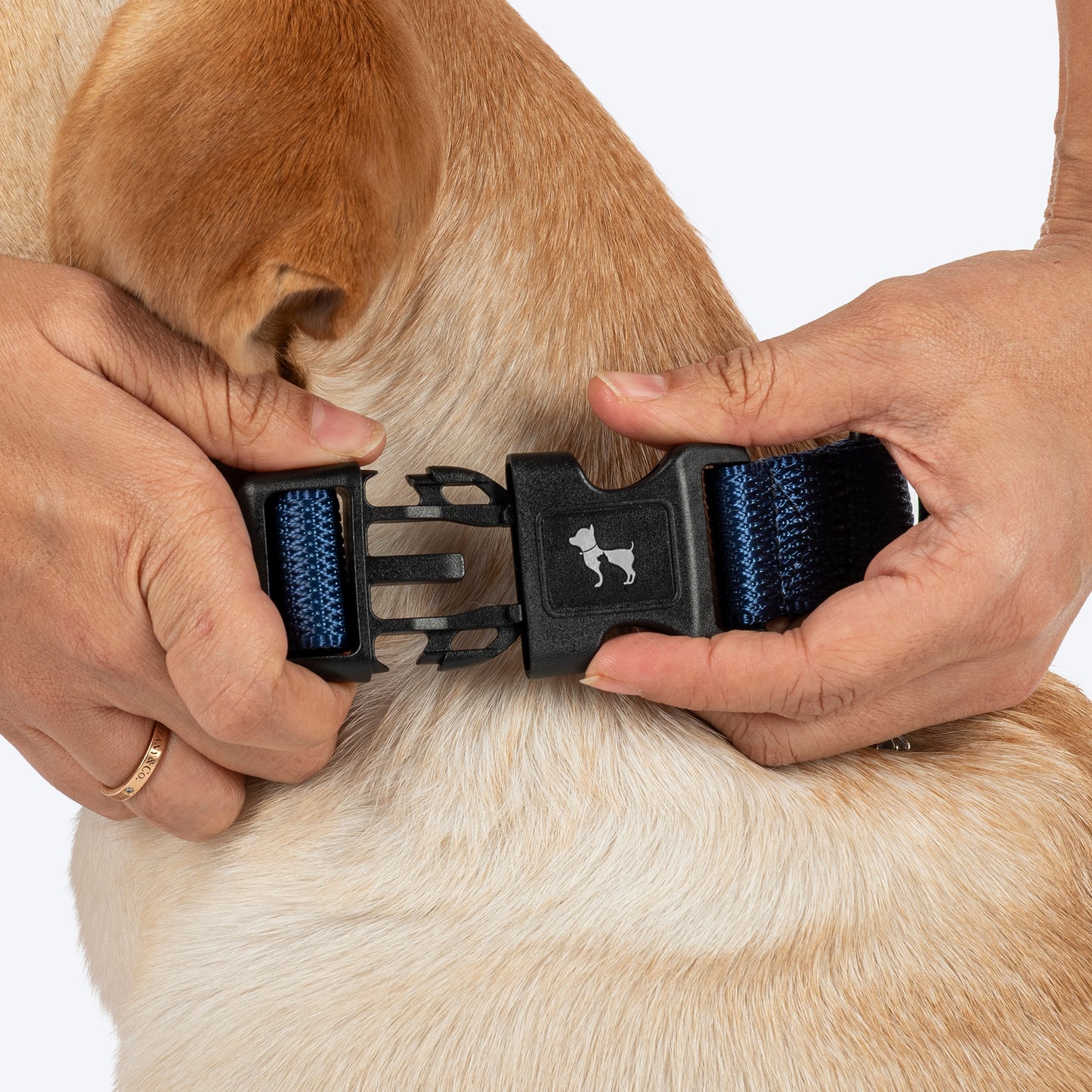 HUFT Classic Collar For Dog - Navy