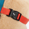 HUFT Classic H - Harness For Dog - Rust & Blue - Heads Up For Tails