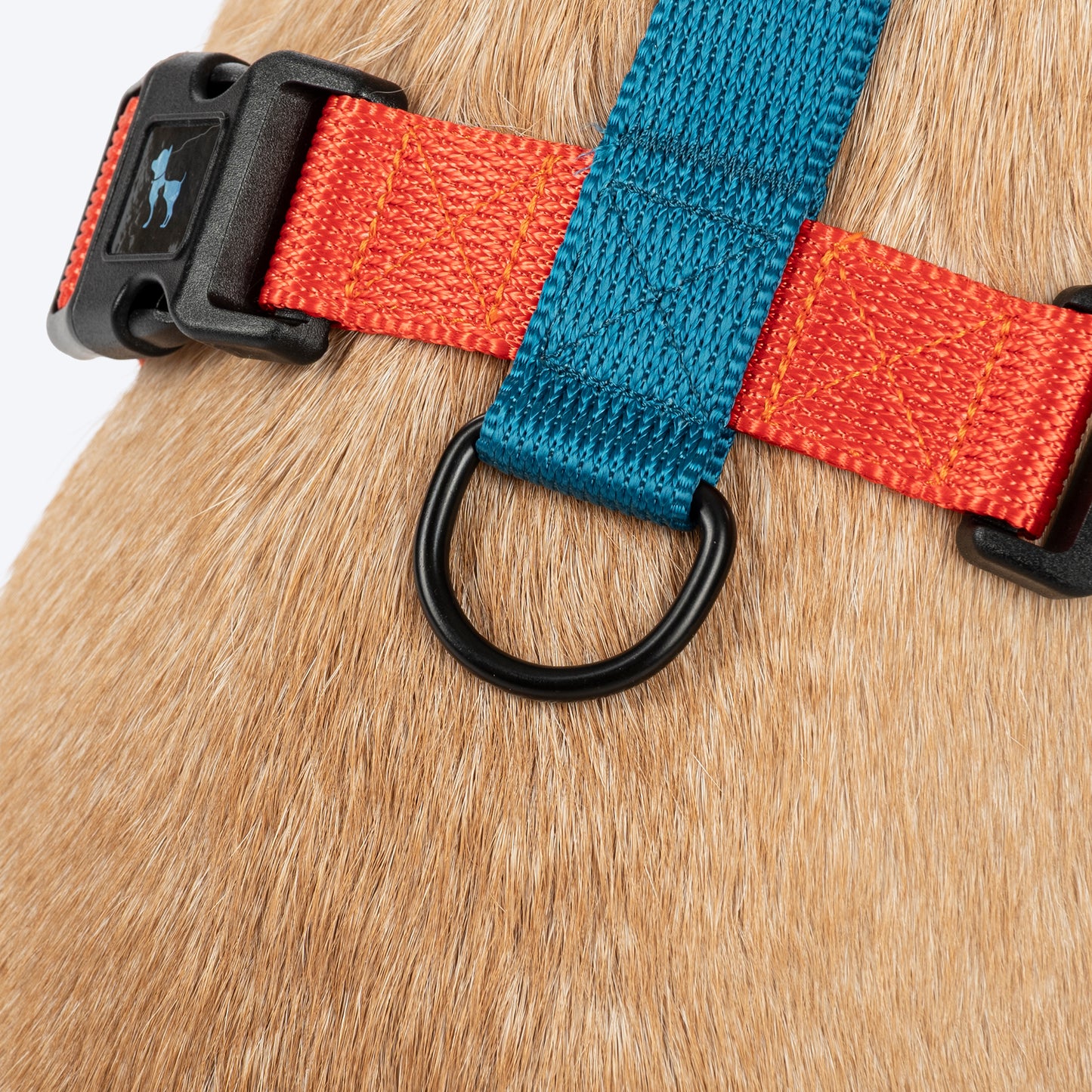 HUFT Classic H - Harness For Dog - Rust & Blue