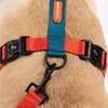 HUFT Classic H - Harness For Dog - Rust & Blue - Heads Up For Tails