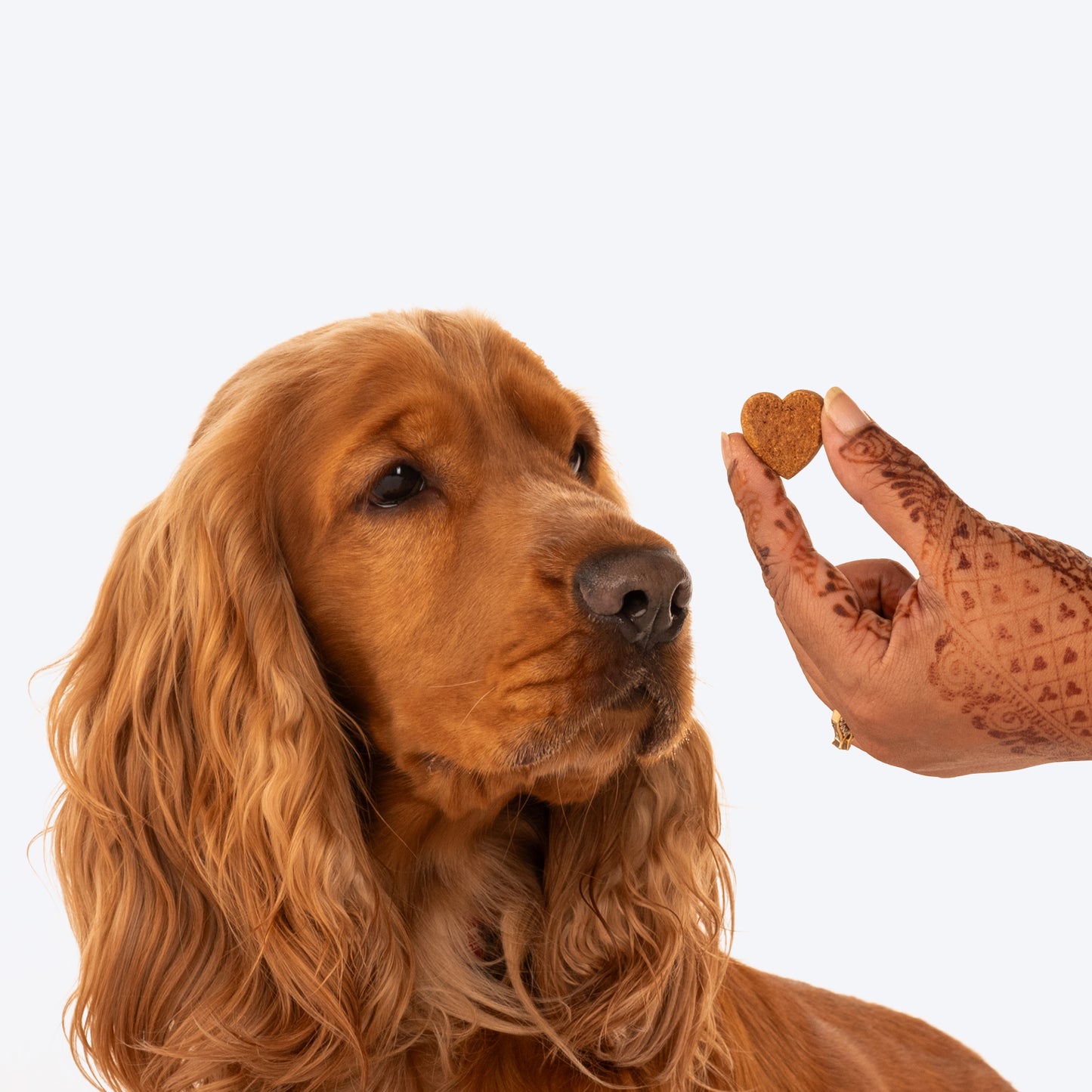 HUFT Nutri Treats For Dogs - Skin & Coat Support - 150 g - Heads Up For Tails