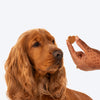 HUFT Nutri Treats For Dogs - Skin & Coat Support - 150 g - Heads Up For Tails