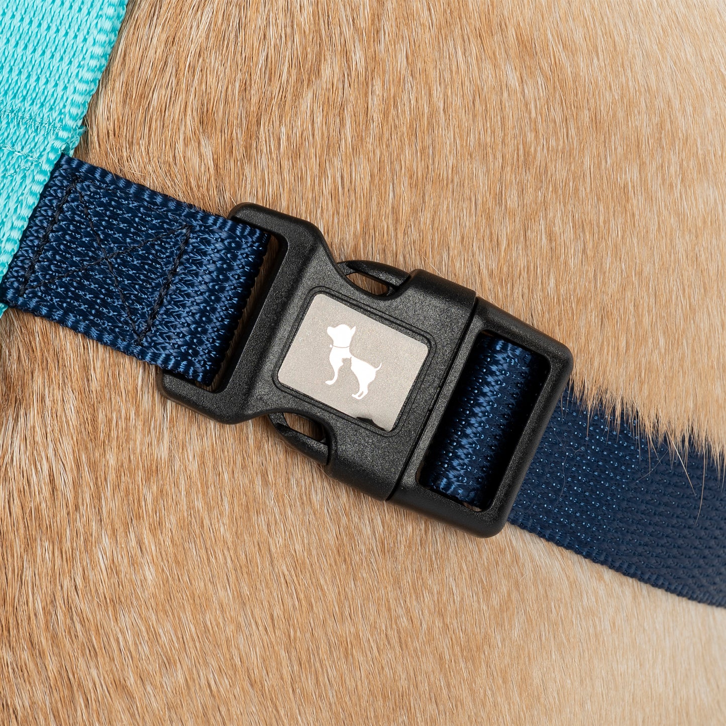 HUFT Classic H - Harness For Dog - Navy & Neon Green