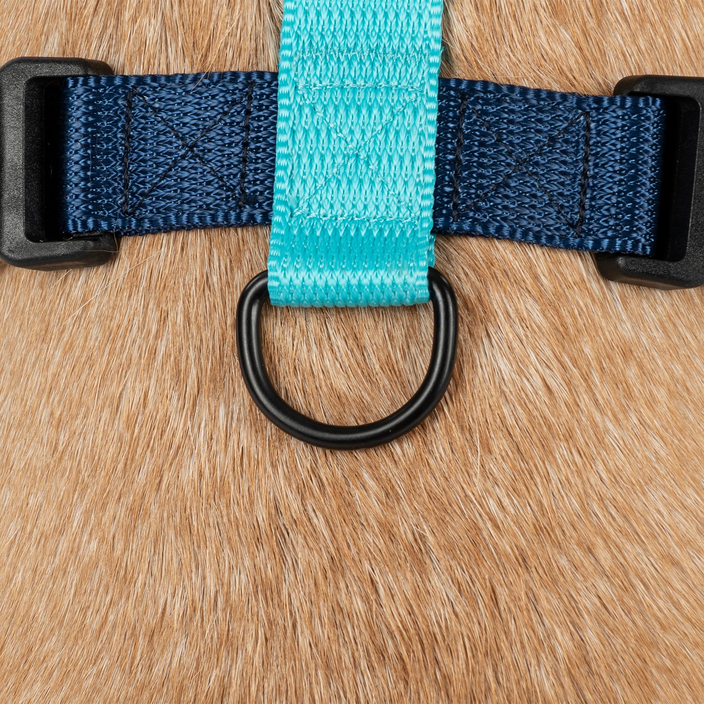 HUFT Classic H - Harness For Dog - Navy & Neon Green
