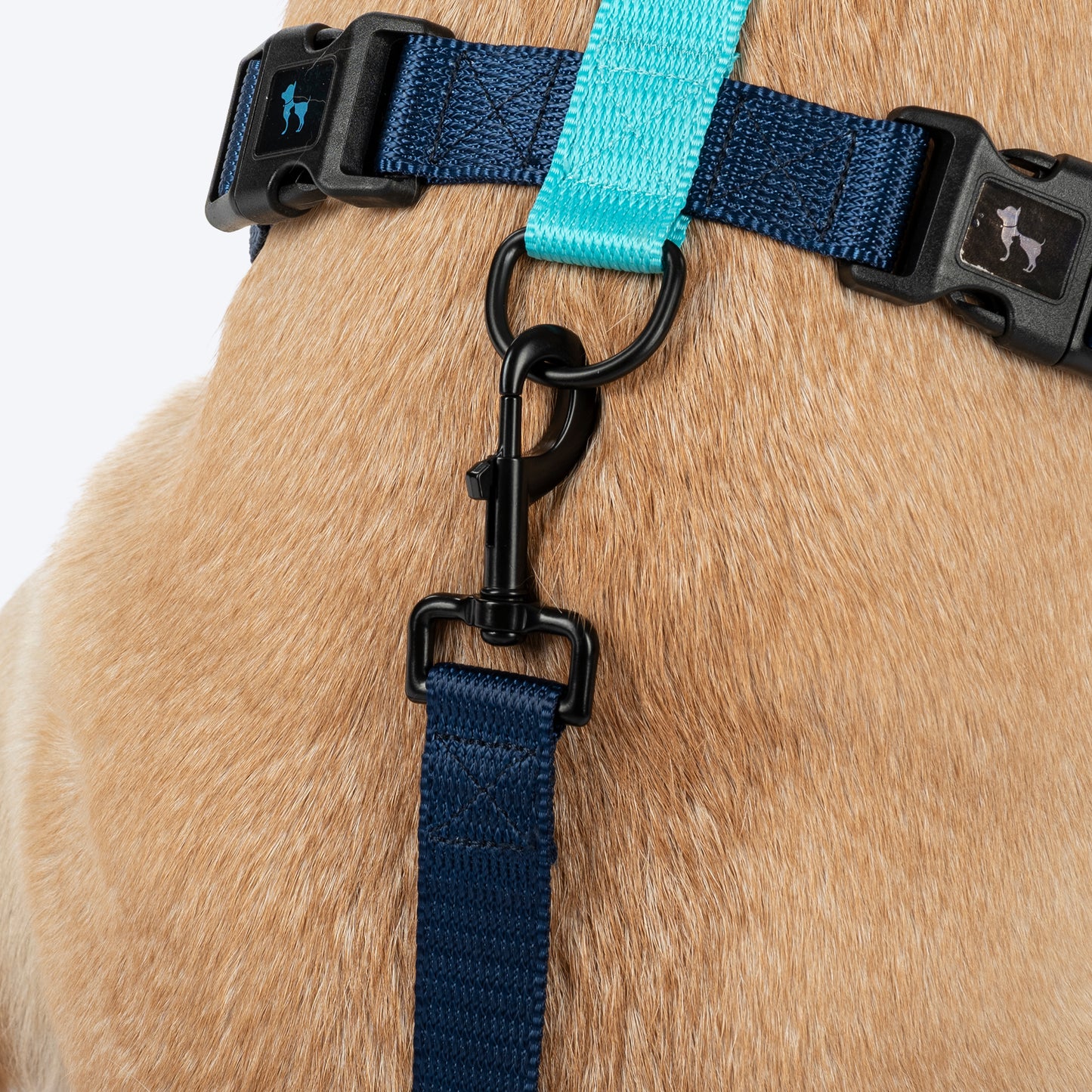 HUFT Classic H - Harness For Dog - Navy & Neon Green