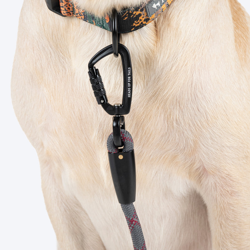 HUFT Xplorers Rope Leash With Carabiner For Dog - Grey - 5 ft - Heads Up For Tails