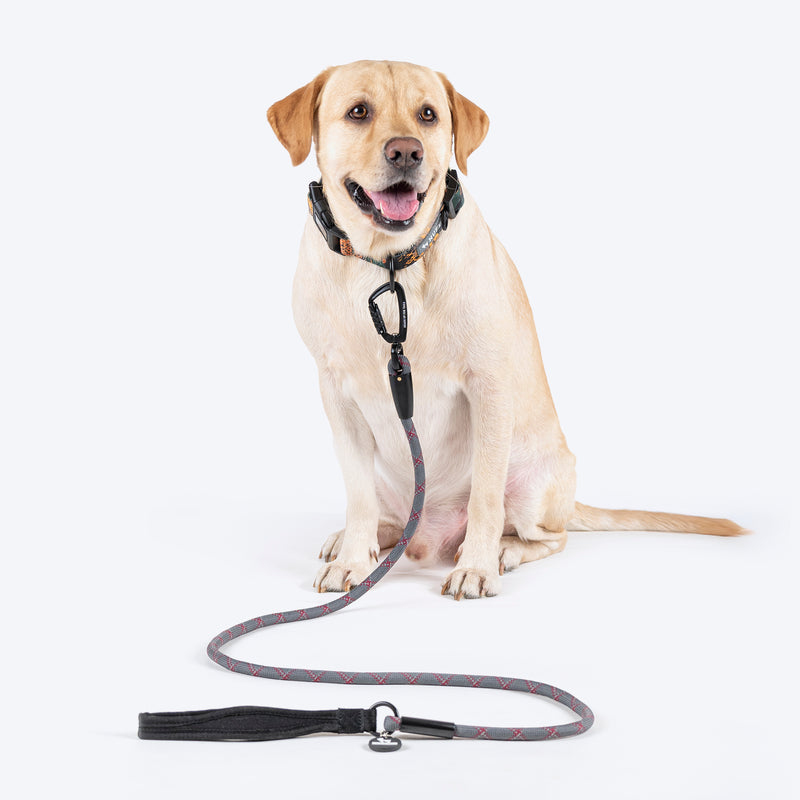 HUFT Xplorers Rope Leash With Carabiner For Dog - Grey - 5 ft - Heads Up For Tails
