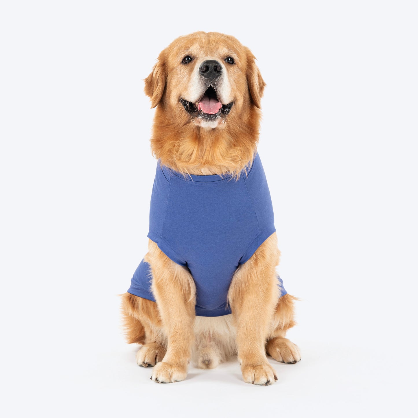 TLC Very Important Pet T-Shirt For Dog - Purple - Heads Up For Tails