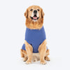 TLC Very Important Pet T-Shirt For Dog - Purple - Heads Up For Tails