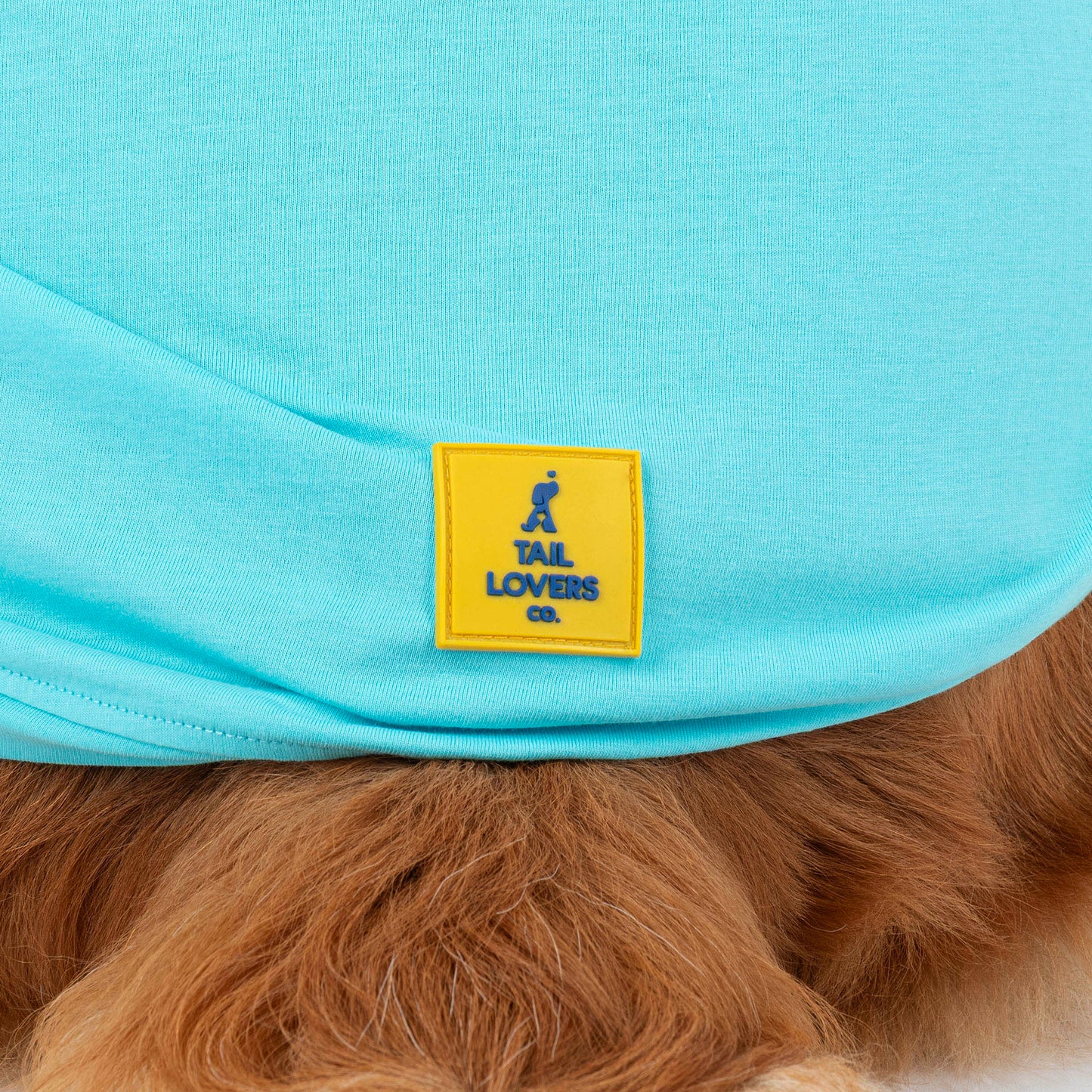 TLC The Family Favourite T-Shirt For Dog - Turquoise - Heads Up For Tails