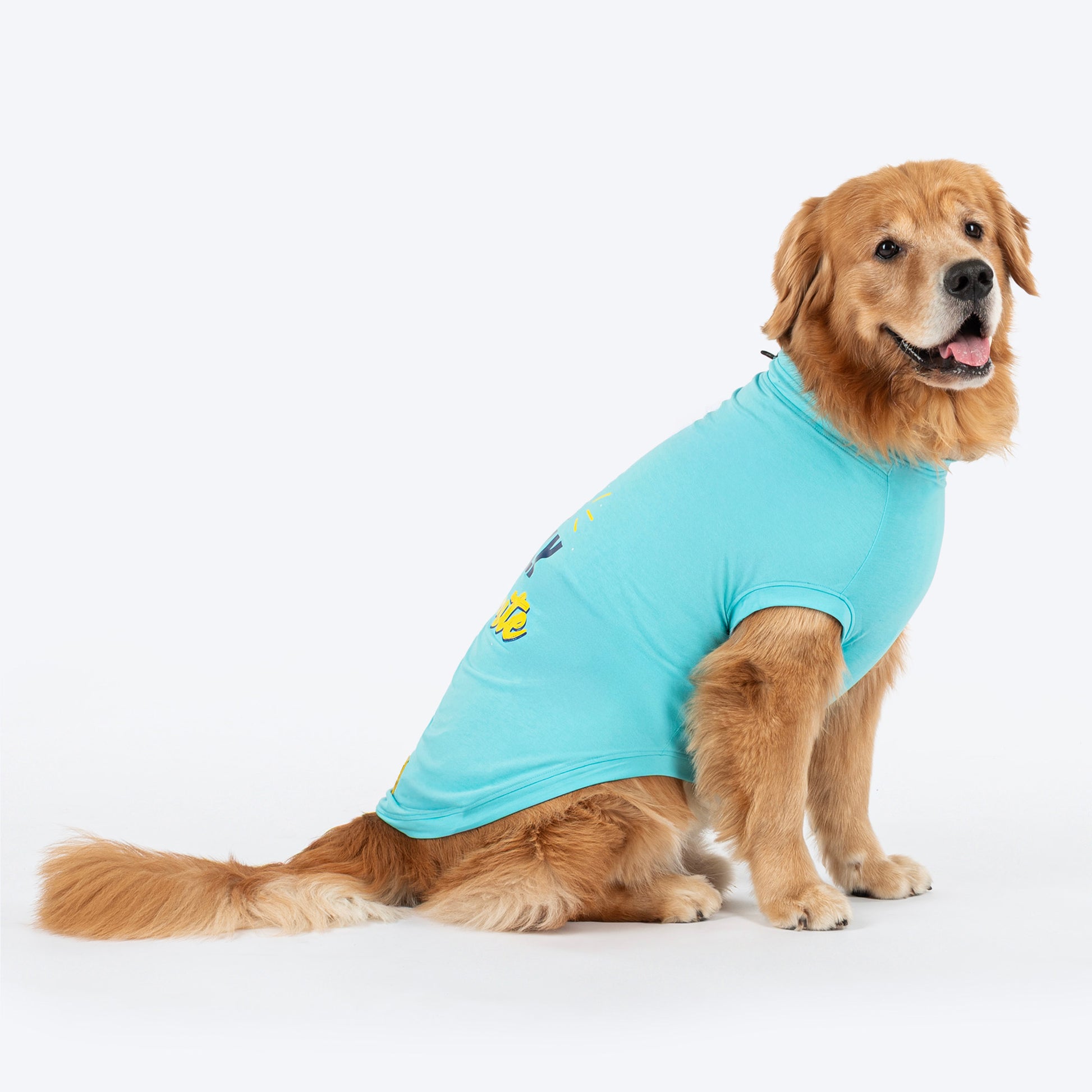 TLC The Family Favourite T-Shirt For Dog - Turquoise - Heads Up For Tails