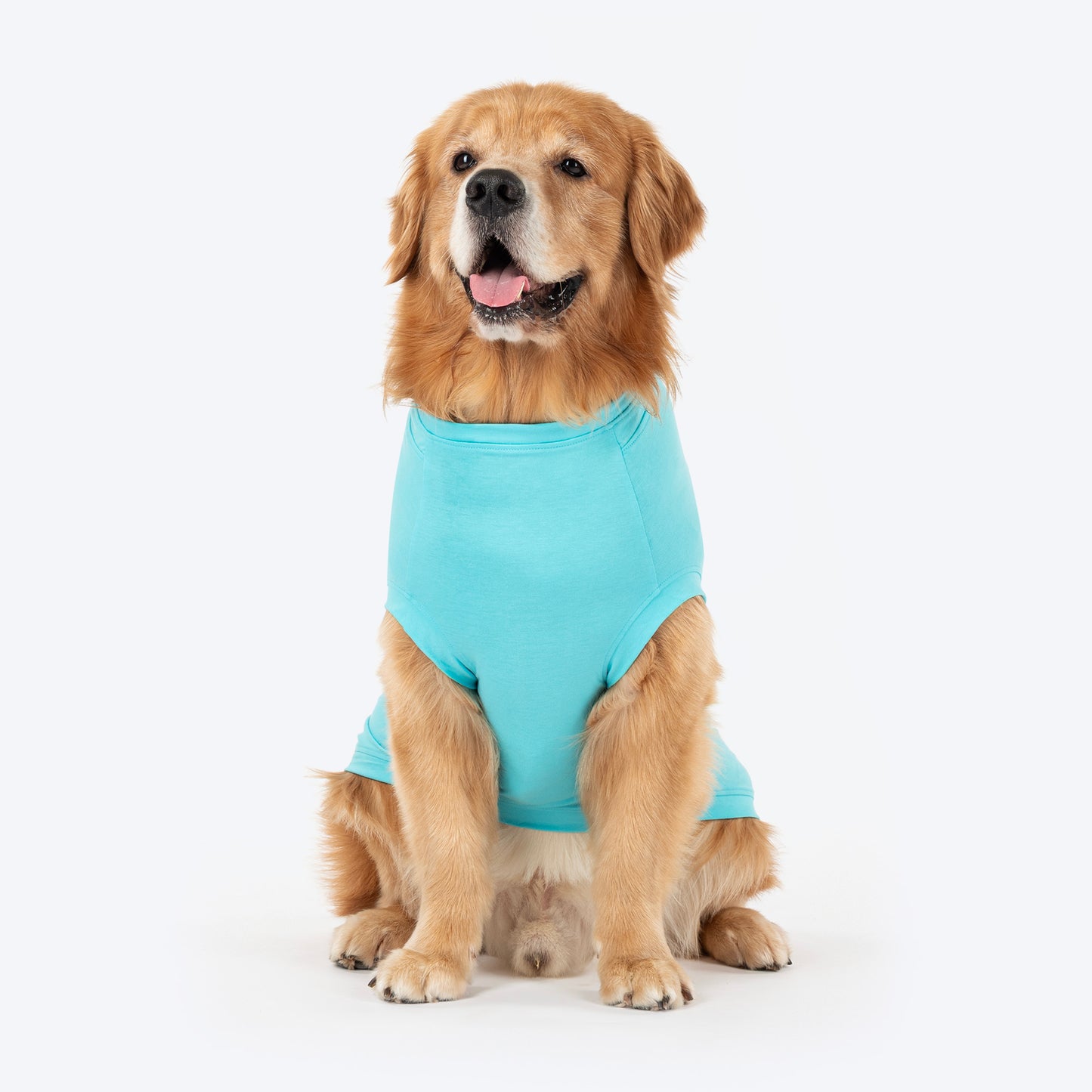 TLC The Family Favourite T-Shirt For Dog - Turquoise - Heads Up For Tails