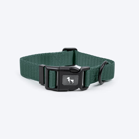 HUFT Classic Collar For Dog - Green