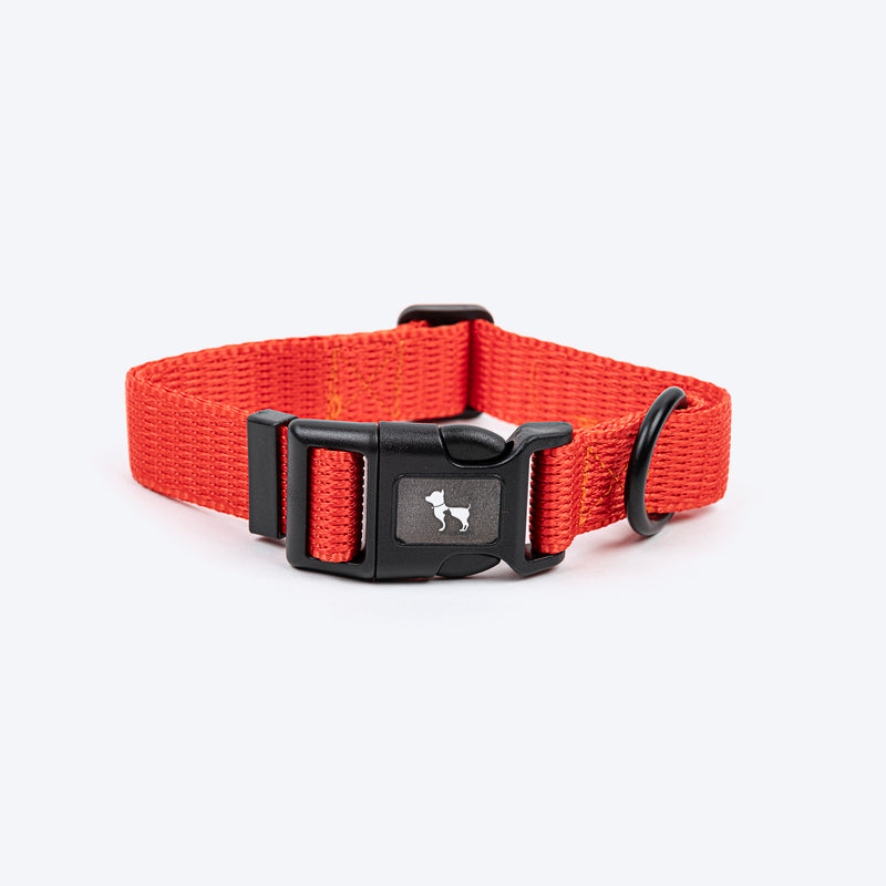HUFT Classic Collar For Dog - Rust Orange - Heads Up For Tails
