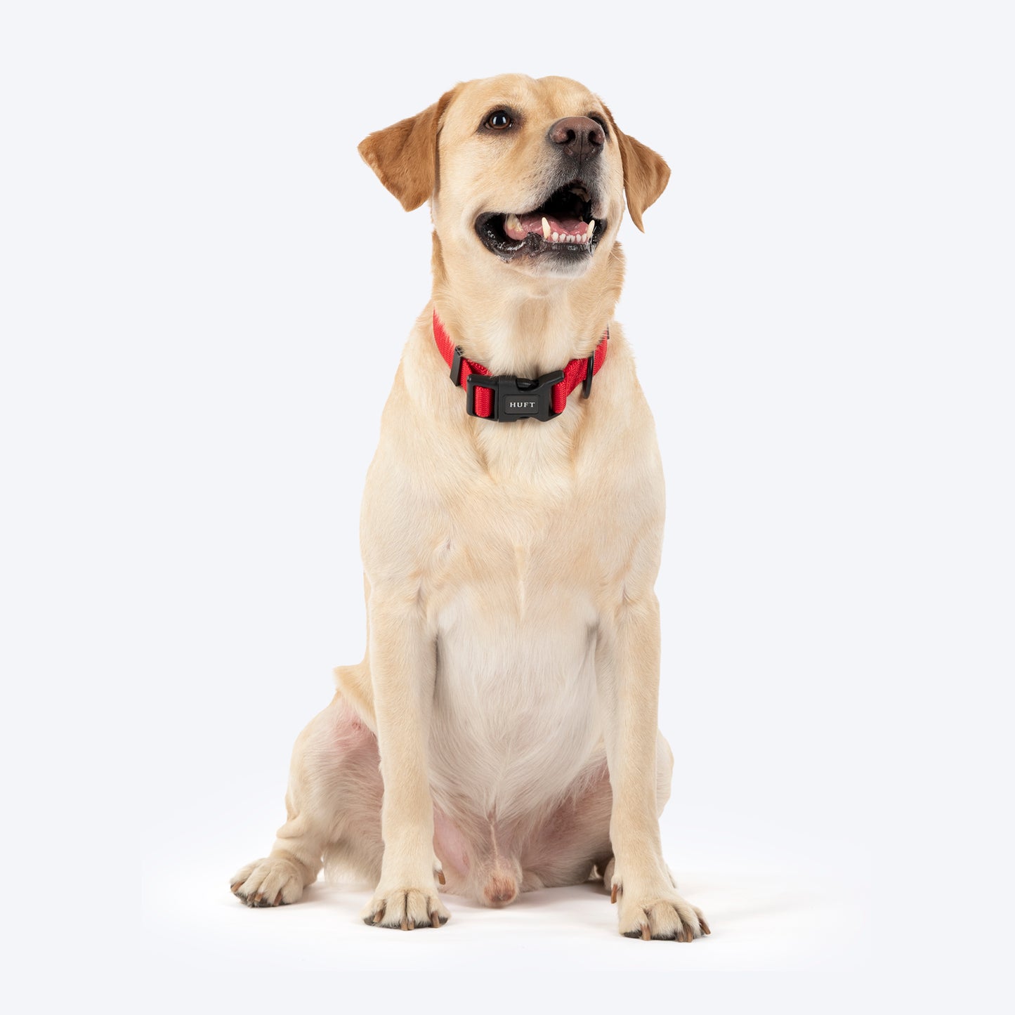 HUFT Classic Collar For Dog - Cherry Red - Heads Up For Tails