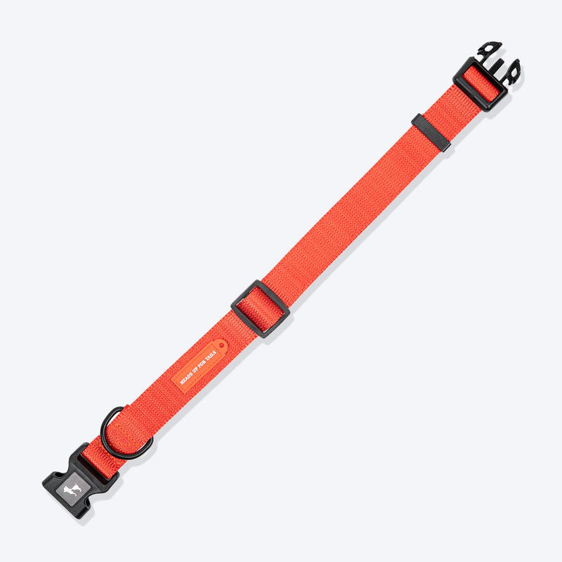 HUFT Classic Collar For Dog - Rust Orange - Heads Up For Tails