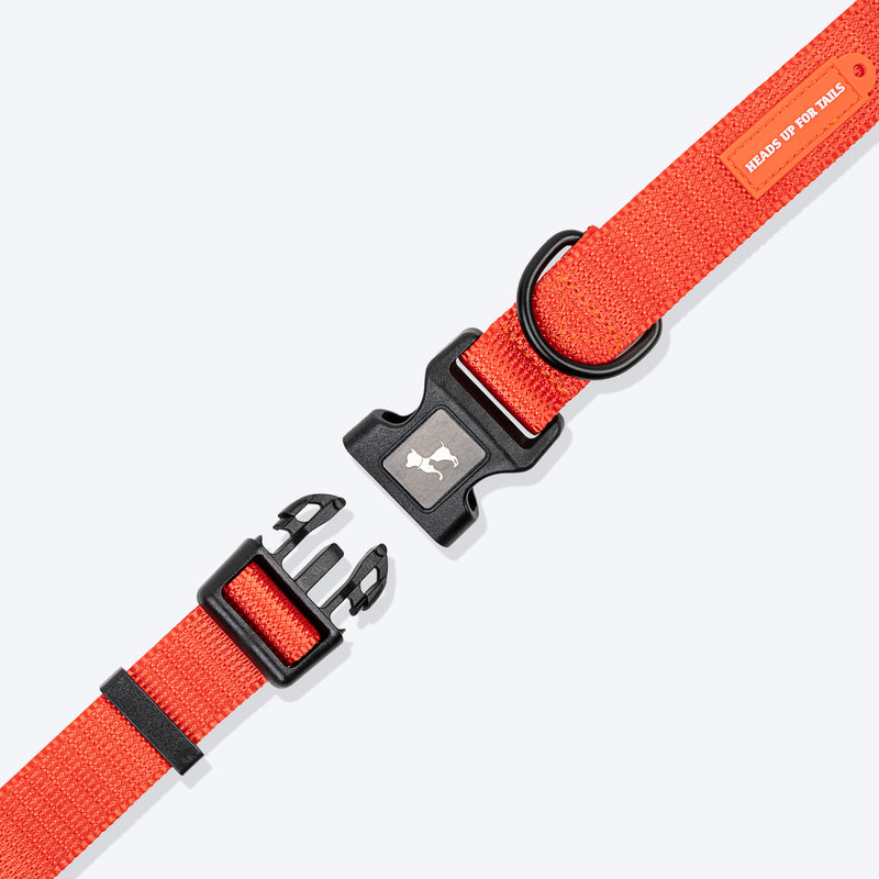 HUFT Classic Collar For Dog - Rust Orange - Heads Up For Tails