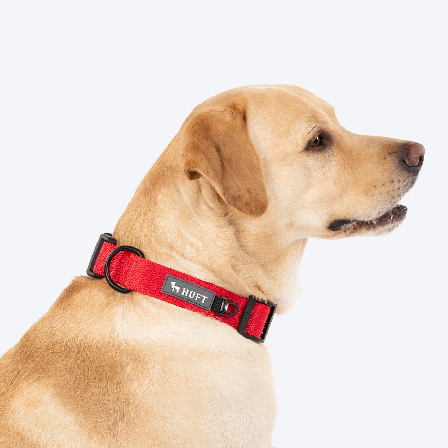 HUFT Classic Collar For Dog - Cherry Red - Heads Up For Tails