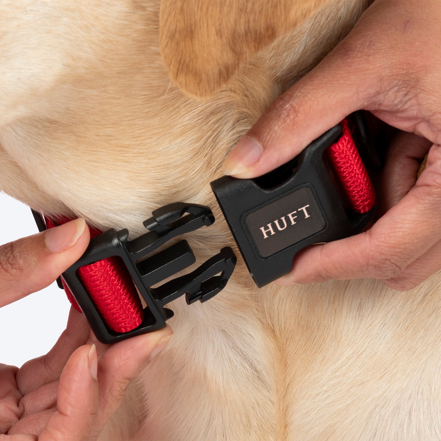 HUFT Classic Personalised (Mobile No.) Dog Collar - Cherry Red - Heads Up For Tails