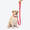 HUFT Classic Leash For Dog - Cherry Red - Heads Up For Tails