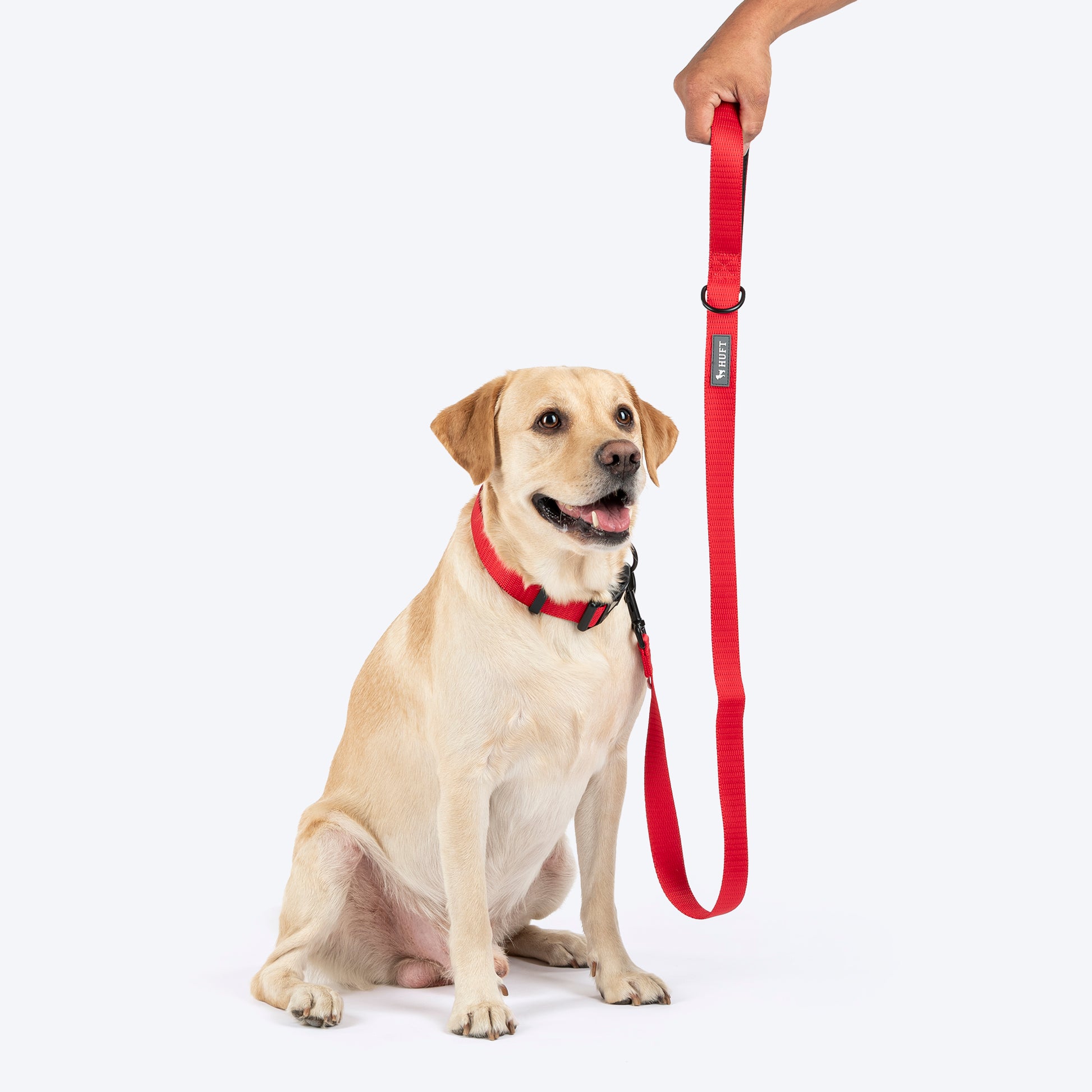 HUFT Classic Leash For Dog - Cherry Red - Heads Up For Tails