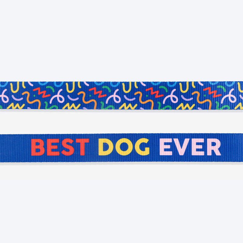 HUFT Scribble Dribble Leash For Dog – Blue - Heads Up For Tails