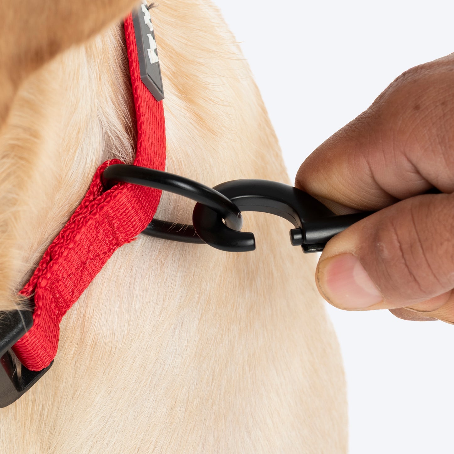 HUFT Classic Personalised (Mobile No.) Dog Collar - Cherry Red - Heads Up For Tails