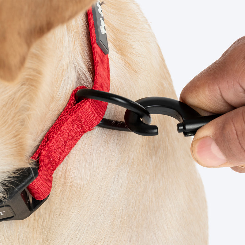 HUFT Classic Personalised (Mobile No.) Dog Leash - Cherry Red - Heads Up For Tails