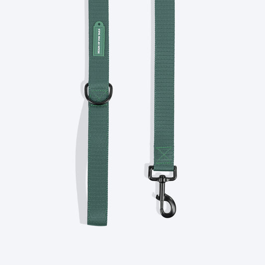 HUFT Classic Leash For Dog - Green
