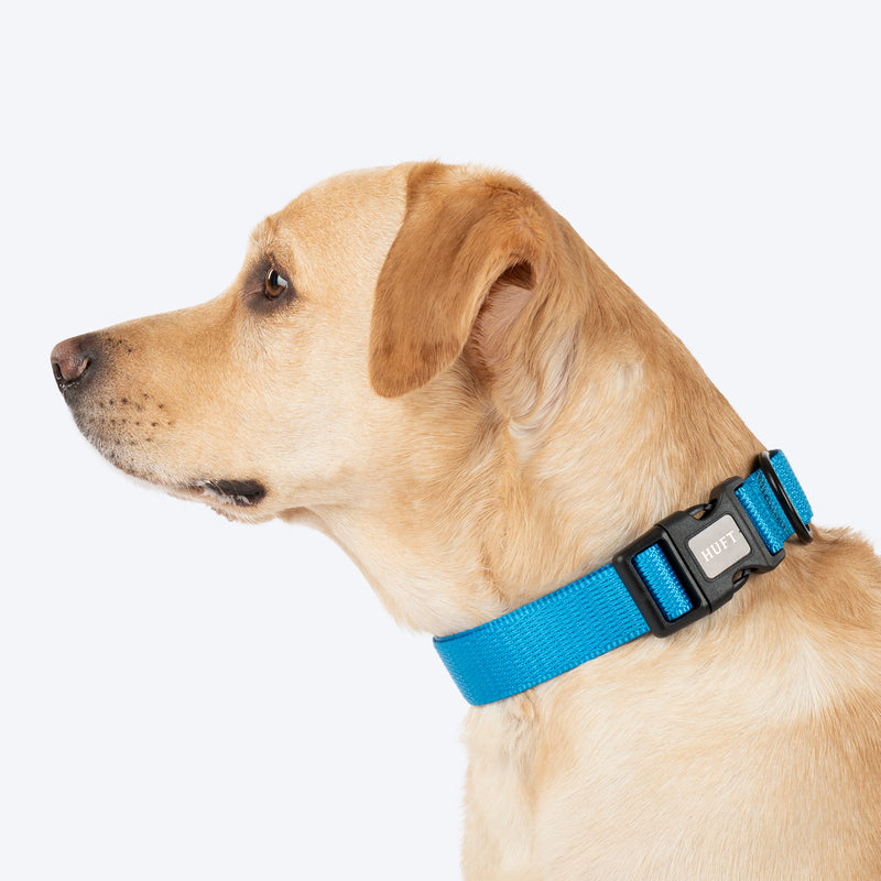 HUFT Classic Collar For Dog - Ocean Blue - Heads Up For Tails