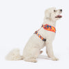 HUFT Dynamic Chevron Adjustable Harness For Dog - Red & Yellow - Heads Up For Tails