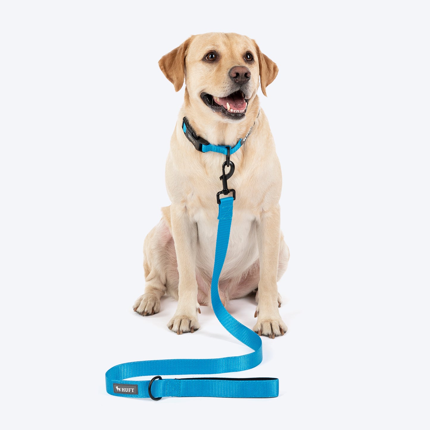 HUFT Classic Leash For Dog - Ocean Blue - Heads Up For Tails