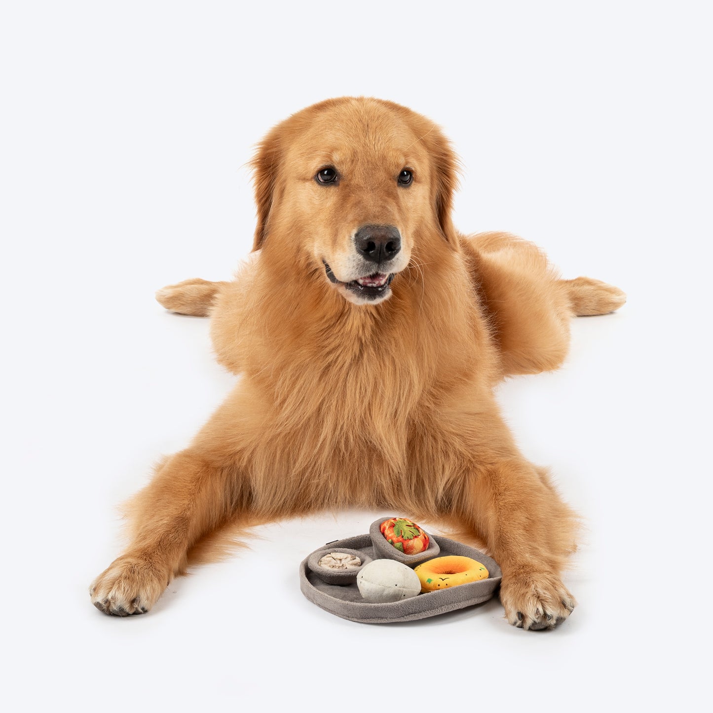HUFT Furever Bandhan Combo - Pet Rakhi, Food Toy, Goat Milk Cookies - Heads Up For Tails