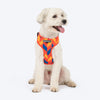 HUFT Dynamic Chevron Adjustable Harness For Dog - Red & Yellow - Heads Up For Tails