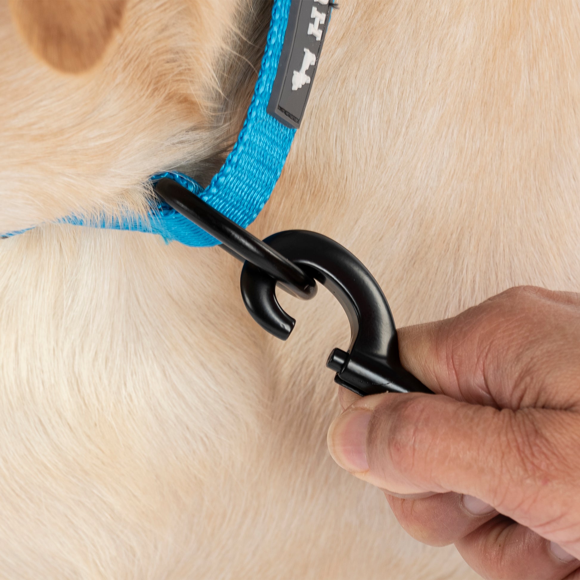 HUFT Classic Personalised (Mobile No.) Dog Leash - Ocean Blue - Heads Up For Tails