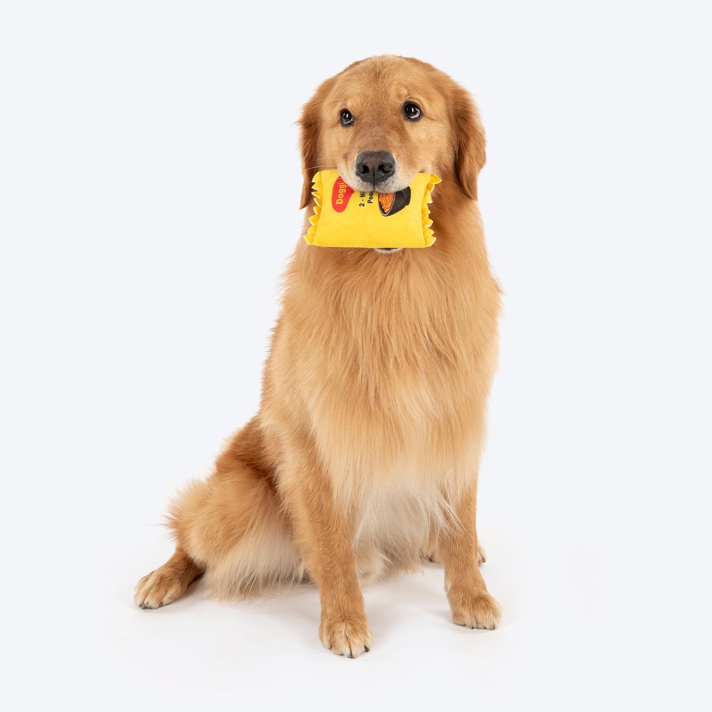 HUFT Raksha & Bandhan Bundle - Pet Rakhi, Noodles Toy, Goat Milk Cookies - Heads Up For Tails