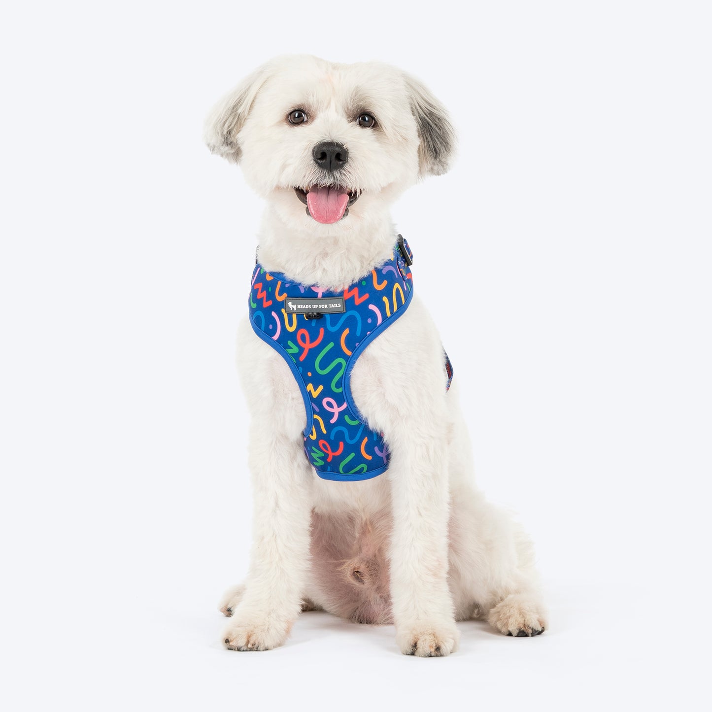 HUFT Scribble Dribble Adjustable Harness For Dog - Blue