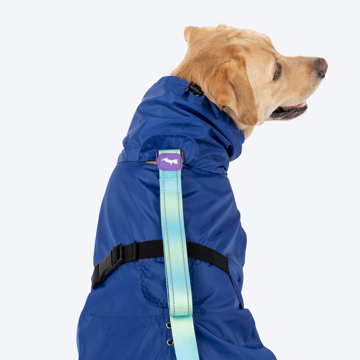 Dash Dog DewDrop Raincoat For Dog - Navy Blue