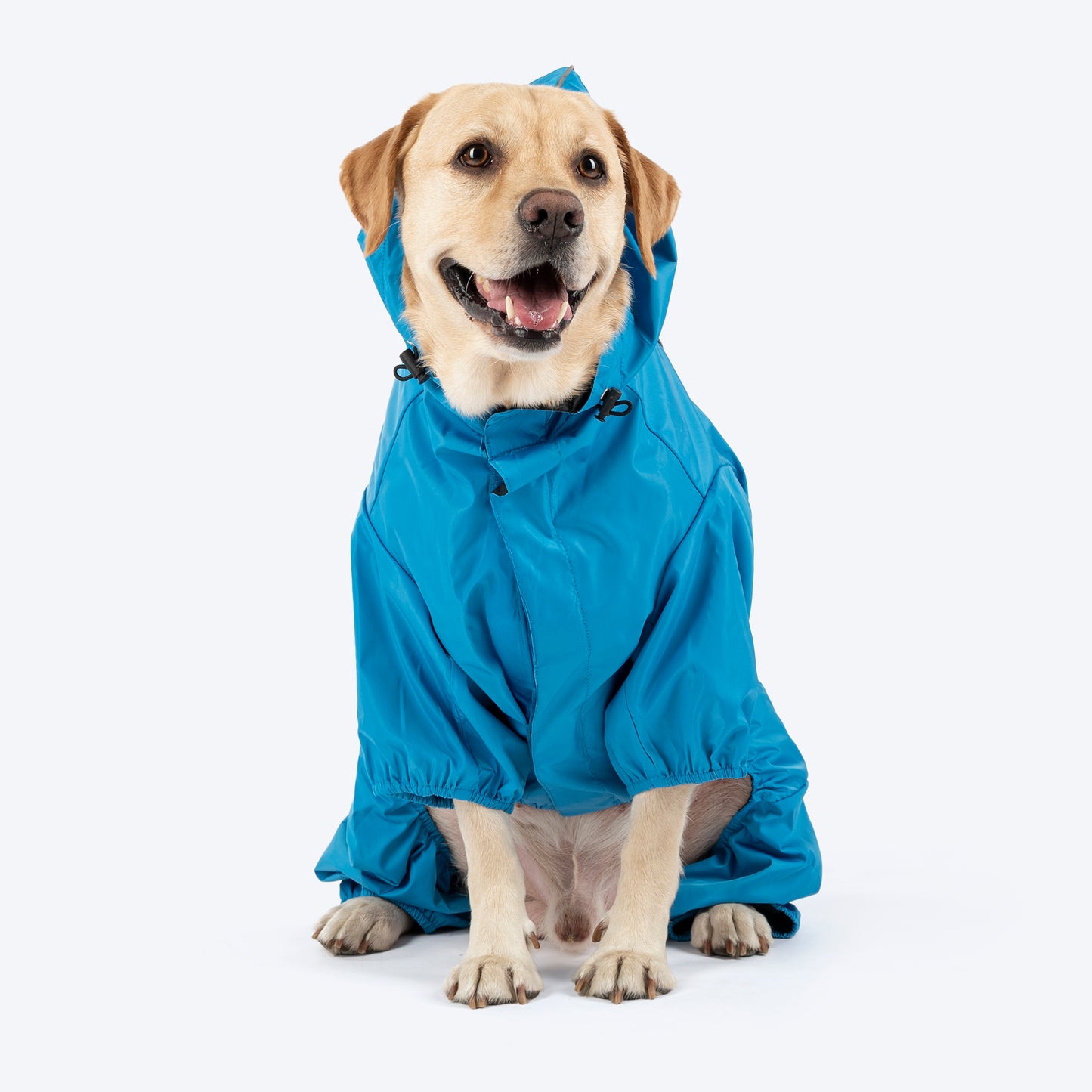 Dash Dog Puddle Jumper Full Coverage Raincoat For Dog - Electric Blue - Heads Up For Tails