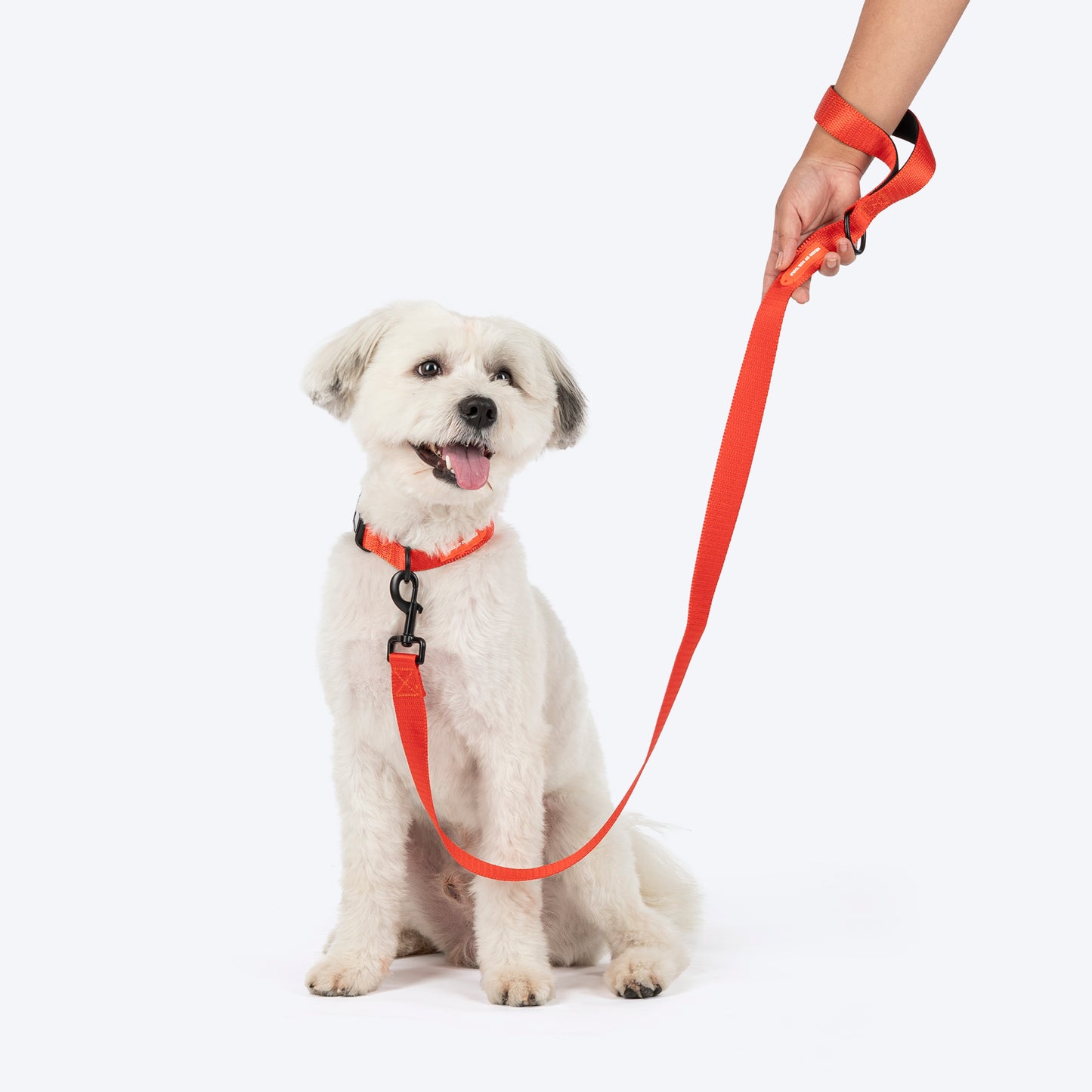 HUFT Classic Leash For Dog - Rust Orange
