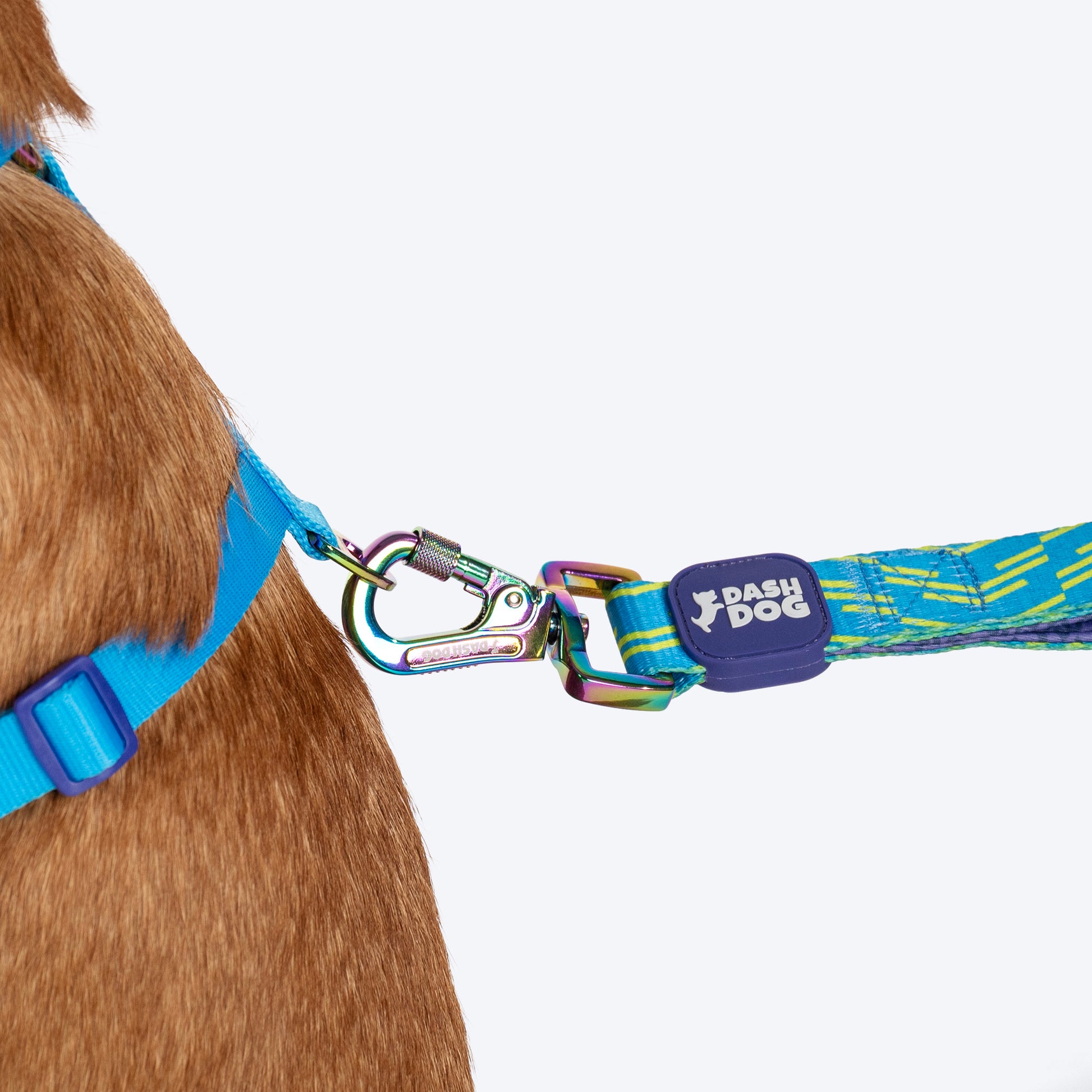 Dash Dog Vector Dual Handle Leash For Dog - Aqua Blue - Heads Up For Tails