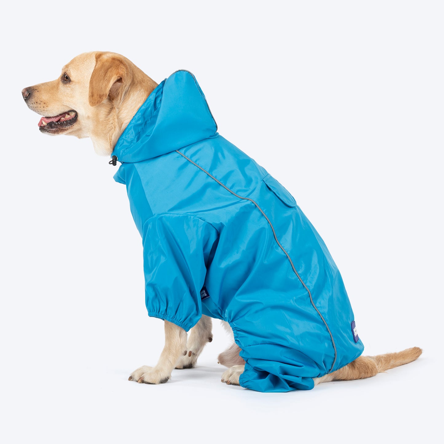Dash Dog Puddle Jumper Full Coverage Raincoat For Dog - Electric Blue - Heads Up For Tails