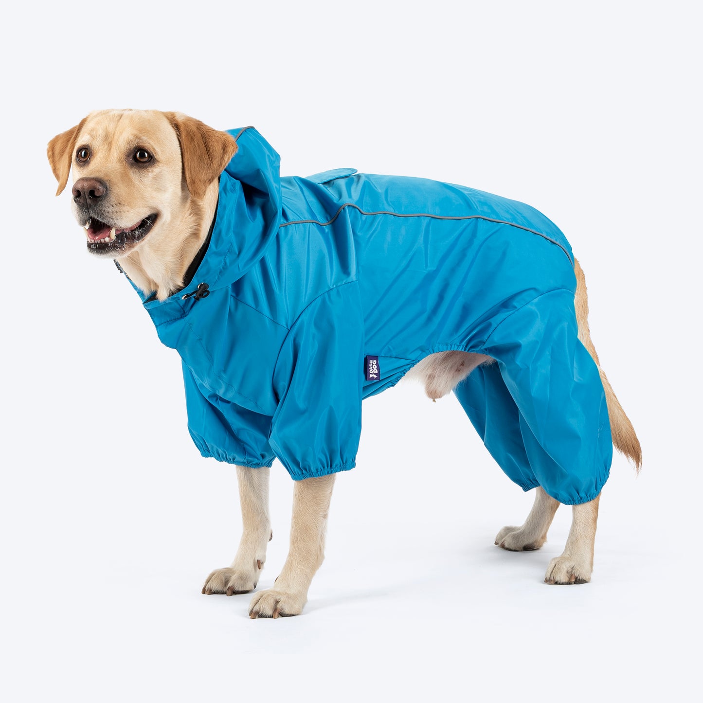 Dash Dog Puddle Jumper Full Coverage Raincoat For Dog - Electric Blue - Heads Up For Tails