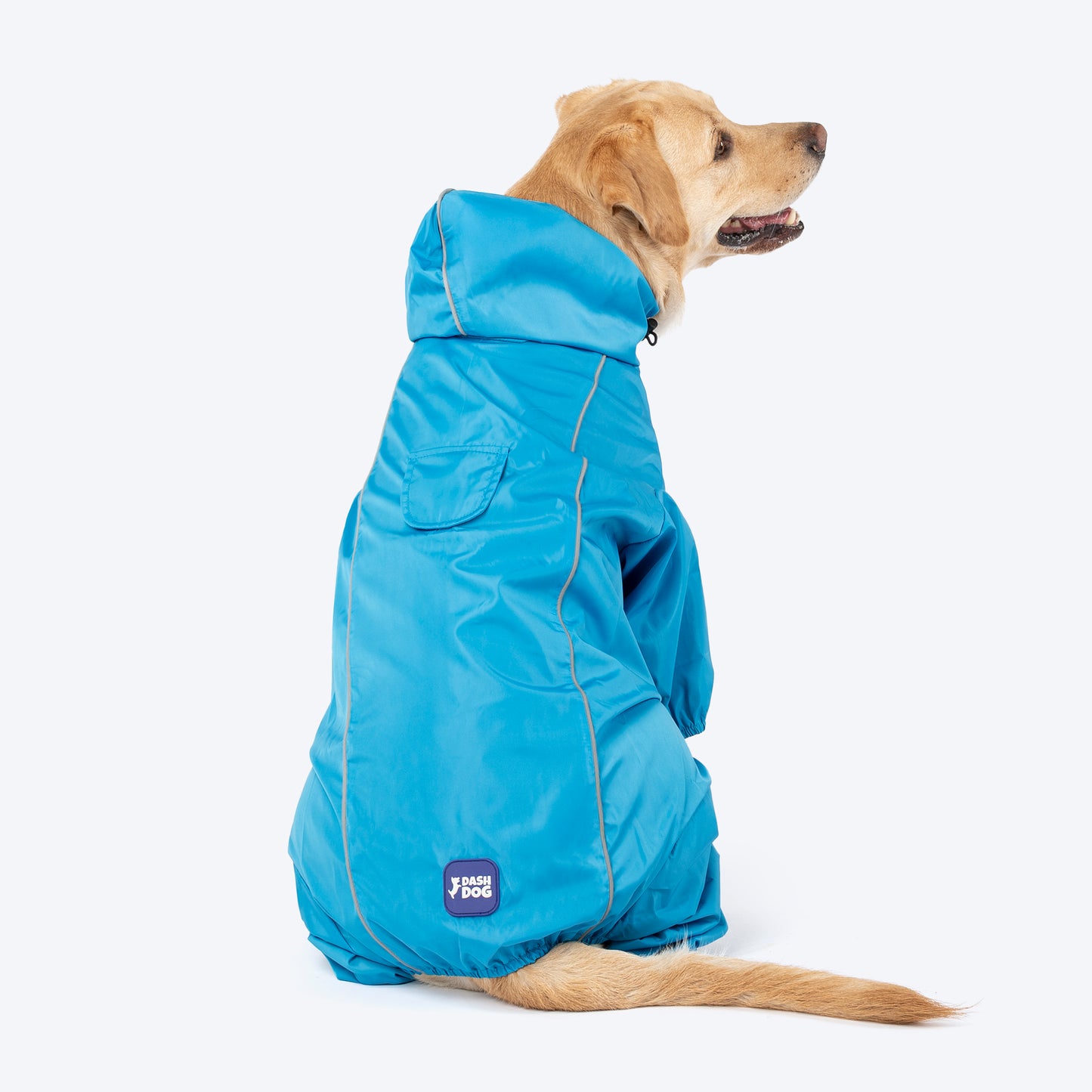 Dash Dog Puddle Jumper Full Coverage Raincoat For Dog - Electric Blue - Heads Up For Tails