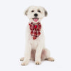 HUFT Tinsel Joy Collar With Bow Tie For Dog - Multicolour - Heads Up For Tails