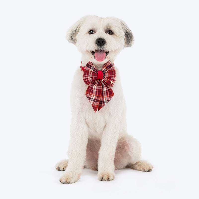 HUFT Tinsel Joy Collar With Bow Tie For Dog - Multicolour - Heads Up For Tails