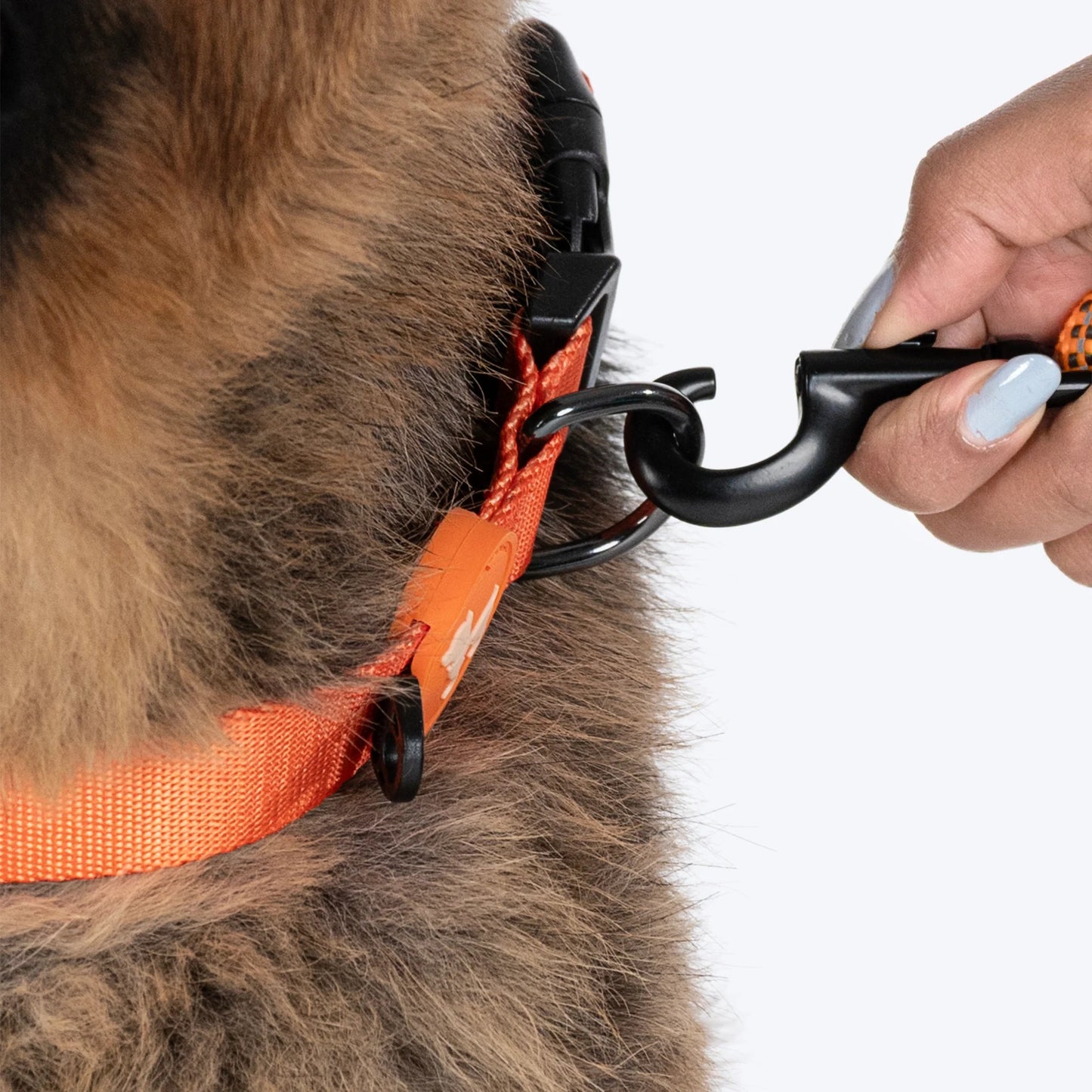 HUFT Classic Rope Leash For Dog - Orange - M - 5 ft - Heads Up For Tails