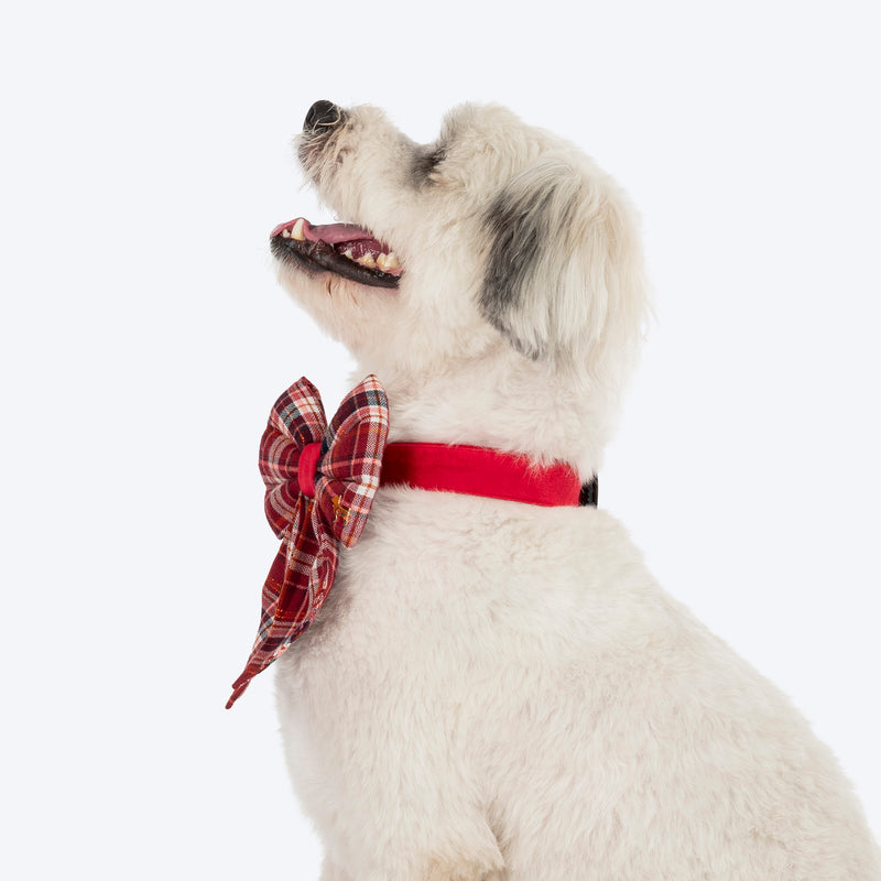HUFT Tinsel Joy Collar With Bow Tie For Dog - Multicolour - Heads Up For Tails