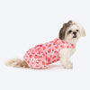 HUFT Berrylicious Printed Dress For Dog - Baby Pink - Heads Up For Tails